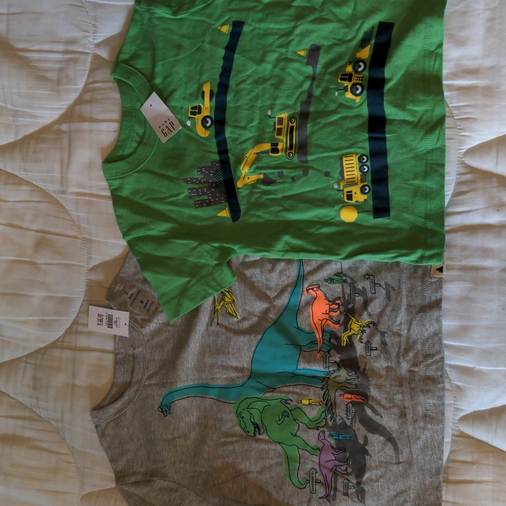 2t gap tees